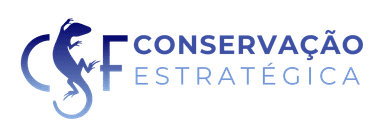Logo Brazil CSF